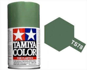 TAM85078.jpg. TS-78 Field Gray