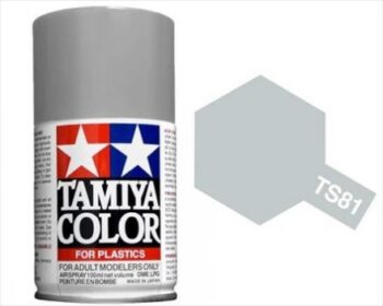 TAM85081.jpg. TS-81 Royal Light Grey