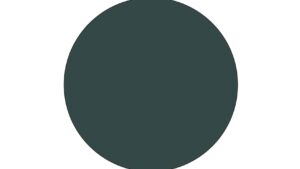 TAM86501 .jpg. AS-1 Dark Green (IJN)