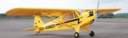 SEA87.jpg. Seagull Piper Cub 75