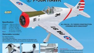 BH41.jpg. Black Horse Hawk P36-A