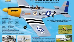 BH33.jpg. Black Horse Mustang P51 60