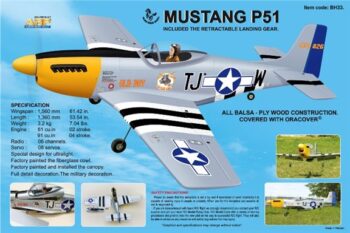 BH33.jpg. Black Horse Mustang P51 60