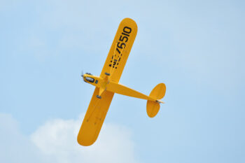 BH58_9.jpg. Black Horse Piper Cub 120