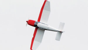 BH129_1.jpg. Black Horse Jodel Robin 22-33cc