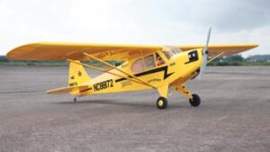 SEA74.jpg. Seagull Piper Cub 120