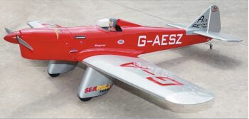 SEA71.jpg. Seagull Sparrow Hawk 160