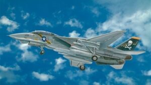 ITA2667.jpg. 1/48 F-14A Tomcat