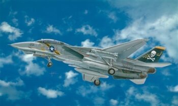 ITA2667.jpg. 1/48 F-14A Tomcat