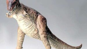 TAM60203.jpg. 1/35 Tyrannosaurus Rex