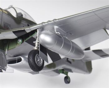 TAM60322_13.jpg. 1/32 P-51D Mustang