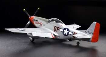 TAM60322_03.jpg. 1/32 P-51D Mustang