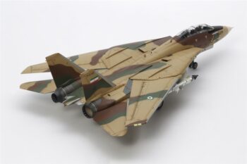 TAM61114_12.jpg. 1/48 Grumman F-14A Tomcat